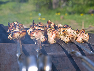 Image showing shish kebab