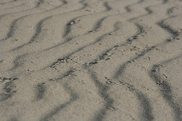 Image showing Sand Wavelets