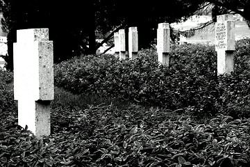 Image showing cemetery