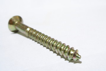 Image showing screw