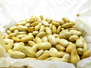 Image showing bean