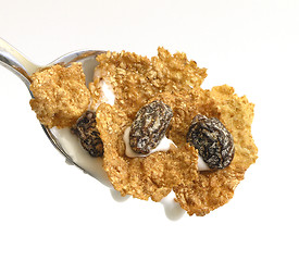 Image showing Cereal Spoon