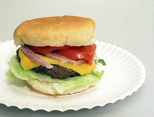 Image showing Cheeseburger Close