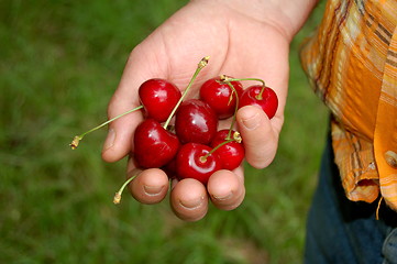 Image showing cherries