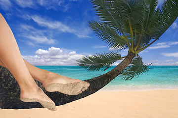 Image showing Girl Dangling Her Feet on a Palm Tree