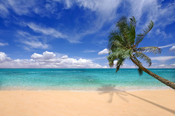 Image showing Teal Waters of the Hawaiian Islands