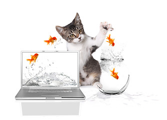 Image showing Kitten Pawing at Gold Fish Jumping out of Water