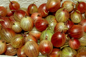 Image showing gooseberries