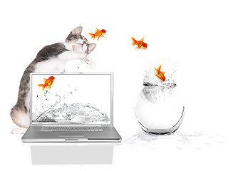 Image showing Kitty Pawing at Goldfish Flying Out of Water