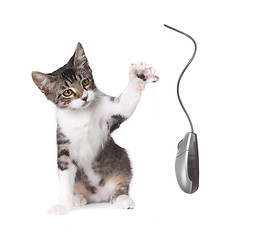 Image showing Kitten Swatting a Computer Mouse