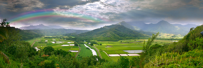 Image showing Panorama of the Taro Fields in Kauai Hawaii