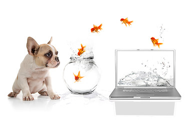 Image showing Cute Puppy Watching Goldfish Escaping the Virtual World