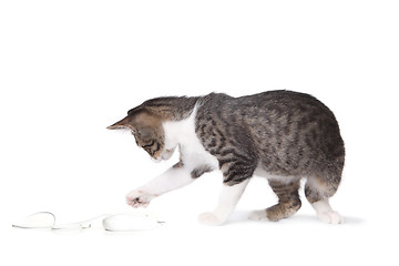 Image showing Kitten Pawing at a Mouse