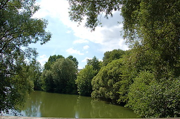 Image showing trees around the river