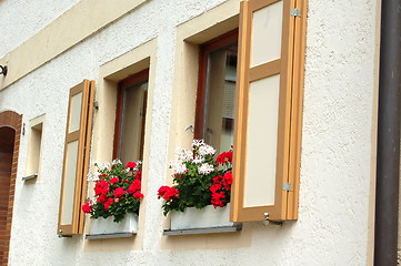 Image showing windows