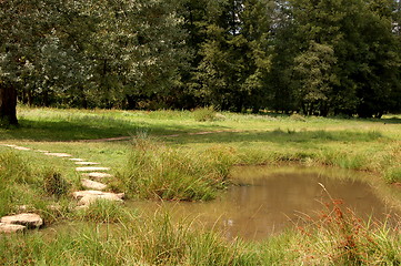 Image showing the little stream