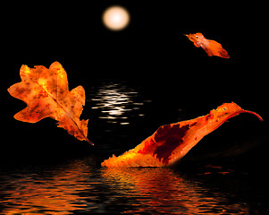 Image showing leaves in the moonlight