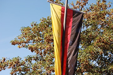 Image showing the flag