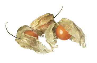 Image showing Physalis