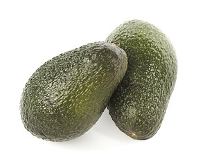 Image showing Avocado