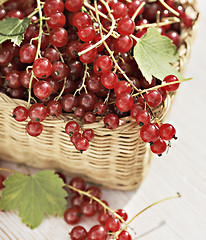 Image showing Red currants