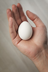 Image showing Egg