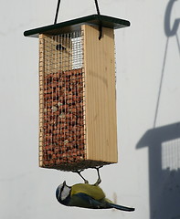 Image showing Bird Feeder