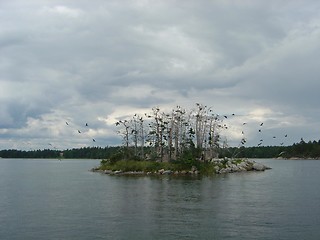 Image showing Birds island