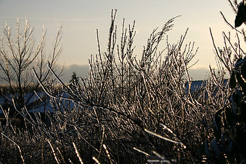 Image showing winter