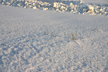 Image showing winter