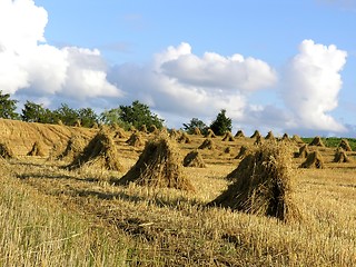 Image showing haystack