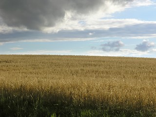 Image showing Field and sky