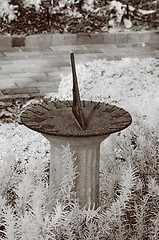 Image showing Infrared Garden Sundial