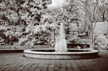 Image showing Infrared Botanical Waterfountain