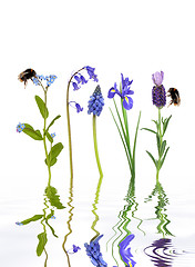 Image showing 1.Spring Flowers and Bees  