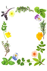 Image showing Flower and Herb Leaf Border