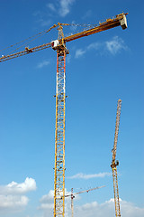 Image showing Three cranes