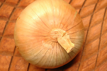 Image showing vidalia onions 13