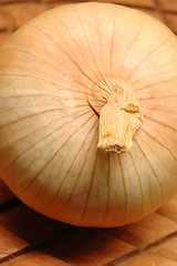Image showing vidalia onions 14