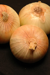 Image showing vidalia onions 15