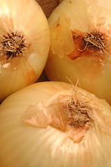 Image showing vidalia onions 1