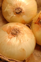 Image showing vidalia onions 2