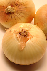 Image showing vidalia onions 3