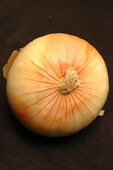 Image showing vidalia onions 17