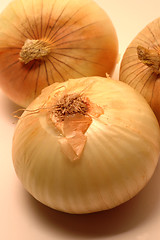 Image showing vidalia onions 6