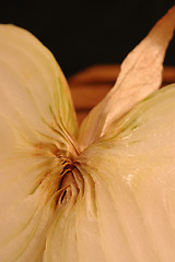 Image showing vidalia onions 8