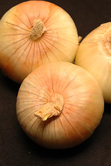 Image showing vidalia onions 16