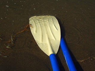 Image showing Canoe Paddles