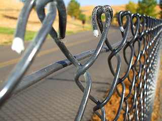 Image showing Chain Link Fence