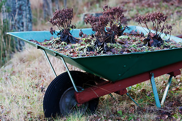 Image showing Wheel barrow